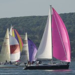 pinksailboat